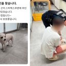 주인 - 서귀포시 | 주인
