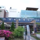 광복경양식 이미지