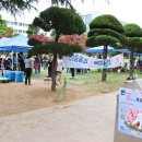 HMC펫케어 | 건국대학교 수의학과 주최 반함축제 펫마사지 특강 후기