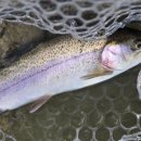 돌다리낚시터 이미지