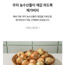 동화청과 - 홍천군 홍천로 367 | 동화청과