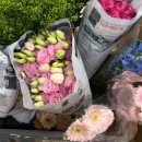 효천중학교 | [스카이교육] - 효천중학교 진로직업체험 2025.06.13 - 2차