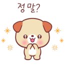 신사아카데미 유도/주짓수 이미지