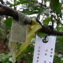 백신2리 이미지