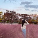 현대동대문점아이더 | 가을일기