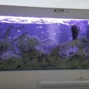 시장식당 이미지