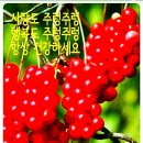박달재농장 이미지
