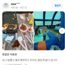생생고기마을 | 야외 바베큐 물놀이 키즈카페 야자수판다마을의 생생한 후기입니다.