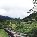 주식회사 자미원 이미지