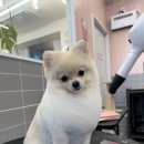 티몬이네 목욕탕 이미지