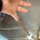 무등농원 이미지