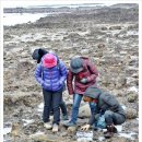 溫故而知新(온고이지 이미지