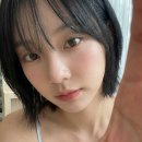 펫웨이브 광교지점 | 경기대미용실 단발 레이어드 중단발 레이어드 C컬 볼륨매직 찐 맛집 후기