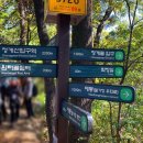 청계산 청계골입구 화장실 이미지