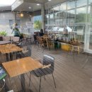 도봉산역 창포원 북카페 비비다이어리에서 힐링🌳 산책은 선선해지면 하는 걸로...
