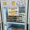 알줍 이미지