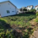 고마운행정사 이미지