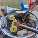 문장로-4 | 구미 애견동반 캠핑장 후기 | 소형견 덕선이 기준으로 본 장단점