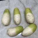 무 | 제주무 못난이 월동무 5kg – 가성비 좋은 반찬거리 제주월동무 후기