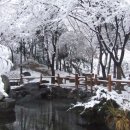 은혜행정사사무소 이미지