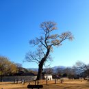 개심사공중화장실화장실 | 서산 가볼만한곳(간월암 간월도, 해미읍성, 개심사, 마애여래삼존상, 보원사지, 웅도, 황금산 코끼리...