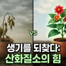 내몸의 엔오