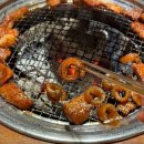 남사 | 용인 남사 맛집 무한리필 고기싸롱 용인남사점 방문후기