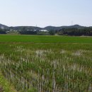 창기리보건진료소 이미지