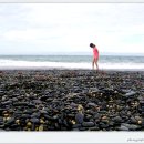 주전몽돌해변 이미지