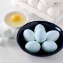 주식회사 이노바이오 이미지