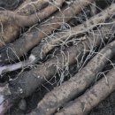 노내골농장 이미지