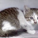 예지어린이집 이미지