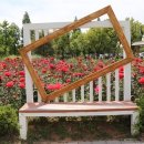 장미목장 이미지