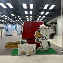 6월 더현대 서울 페이스팩토리 스누피 팝업 후기