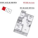 오늘호동