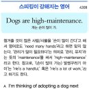 Dogs are high-maintenance. 이미지