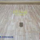 신우초등학교 티스토리