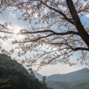 영흥13리마을회관 이미지