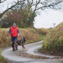 프라임 도그 이미지