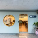 손여사네 이미지