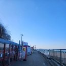 (주)등대 | 제부도 빨간등대 근처 포장마차 가맥집 슈퍼 앞 맥주+호떡 후기