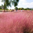 서울광택 이미지