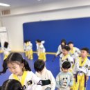 금강태권도 파워점핑 이미지