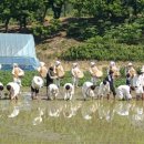 공주문화원 이미지