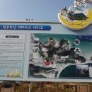 별주부전 이미지