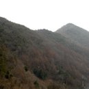 대향산길 티스토리