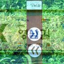 💞추억속의 명산 영상(767) 성남-영남길(달레네고개길) 1길 답사 🕵��‍♂️💞 이미지