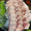 검정다리추억비 이미지