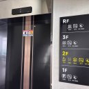 정자문화 | 울산 정자 대형카페 카페높 내돈내산 솔직후기