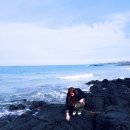 삼일산장 이미지